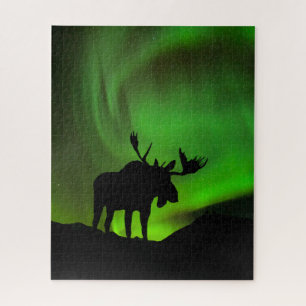 Elch mit grüner Aurora Borealis, Alaska