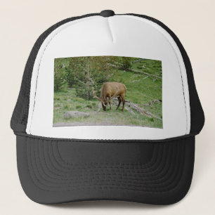 Elch mit Samt Antler Truckerkappe