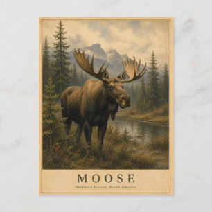 Elch Nördliche Wälder VINTAGE Postkarte