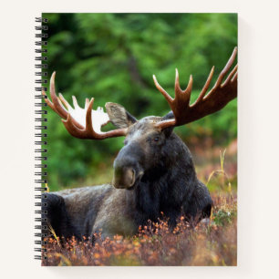 Elch Notizbuch