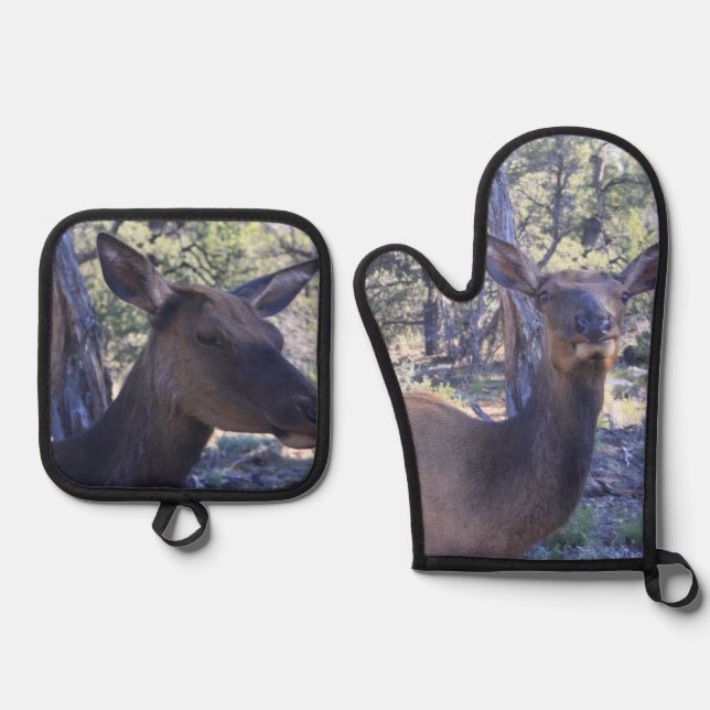 Elch Ofenhandschuh & Topflappen-Set (Vorderseite)
