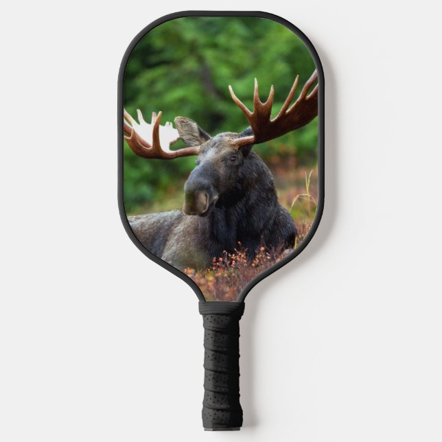 Elch Pickleball Schläger (Vorderseite)