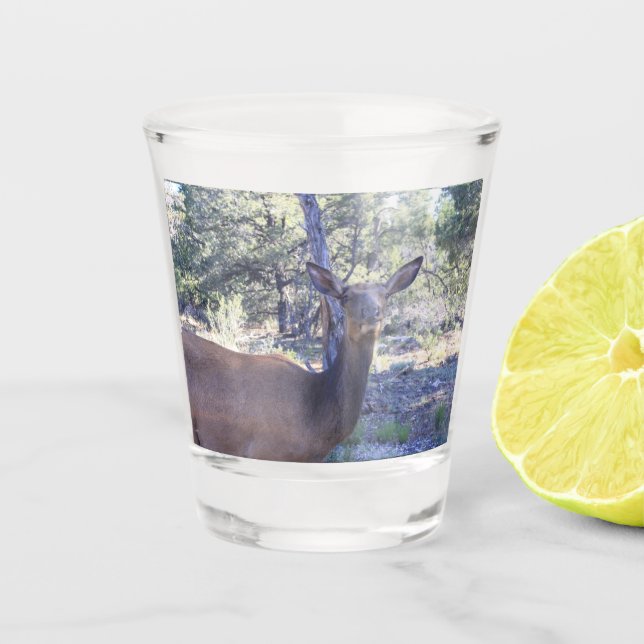 Elch Shot Glass Schnapsglas (Vorderseite)