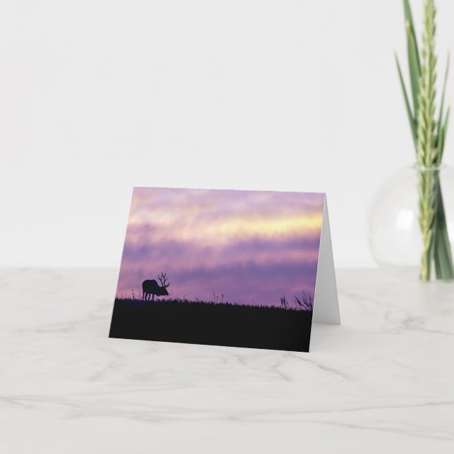 Elch-Silhouette bei Sonnenuntergang Grußkarte leer Dankeskarte (Vorderseite)
