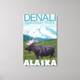 Elch-Szene - Denali Nationalpark, Alaska Leinwanddruck