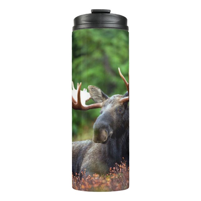 Elch Thermosbecher (Vorderseite)