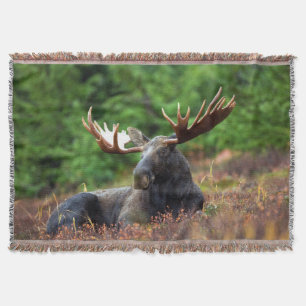 Elch Throw Blanket Decke