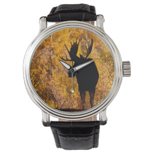 Elchbulle (Alces Alces) in goldenen Weiden 2 Armbanduhr