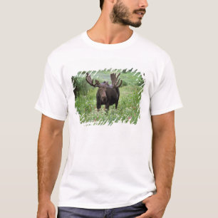Elchbulle (Alces alces) in Wildblumen, T-Shirt