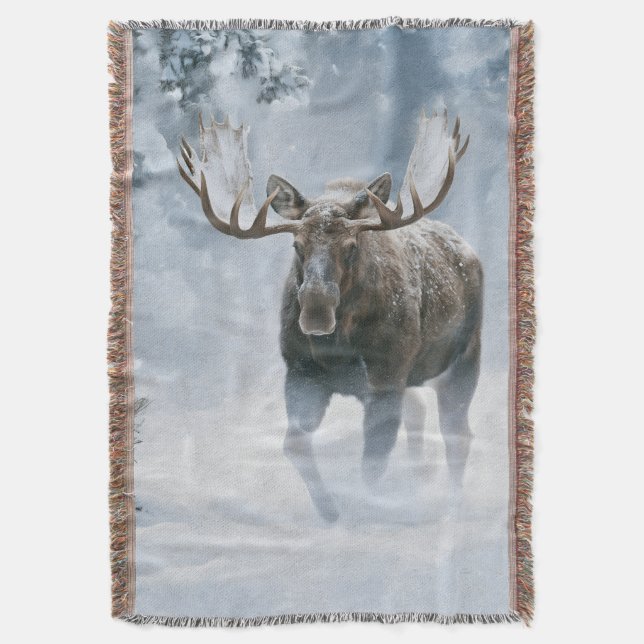 Elchbulle durchquert borealen Schnee Decke (Vorderseite Vertikal)