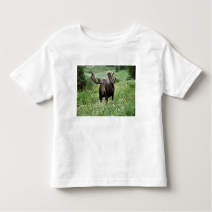 Elche (Alces alces alces) in Wildblumen, Kleinkind T-shirt