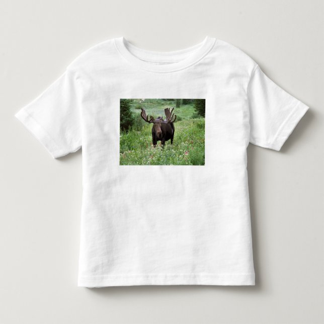 Elche (Alces alces alces) in Wildblumen, Kleinkind T-shirt (Vorderseite)