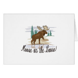 Elche auf dem losen!