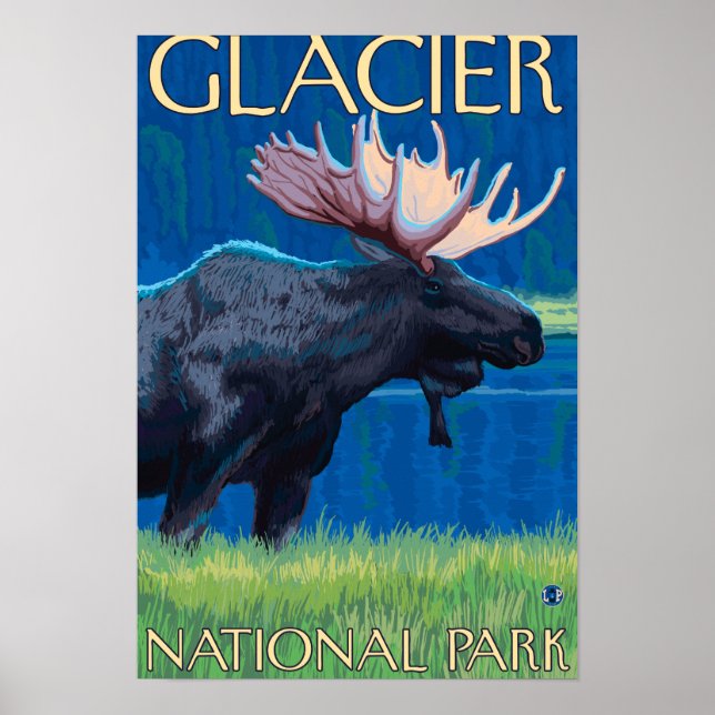 Elche bei Nacht - Glacier National Park, MT Poster (Vorne)