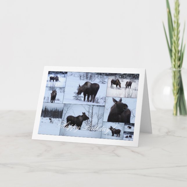 Elche Collage; glücklich zum Geburtstag Karte (Vorderseite)