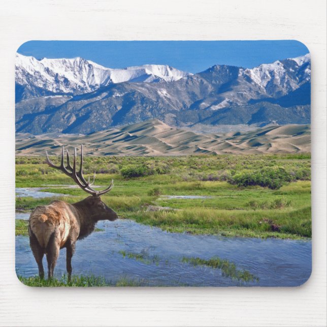 Elche Colorados Rocky Mountains Mousepad (Vorne)