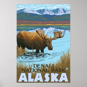 Elche, die in See - Denali trinken, Nationalpark, Poster