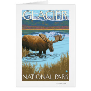 Elche Drinks am See - Glacier National Park,