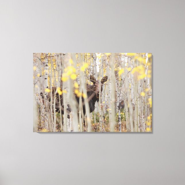 Elche Familie in Aspens Leinwand Art (Vorderseite)