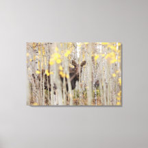 Elche Familie in Aspens Leinwand Art
