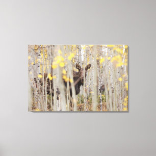 Elche Familie in Aspens Leinwand Art
