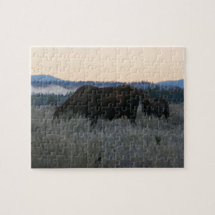 Elche Grazing at Sunrise at Grand Teton