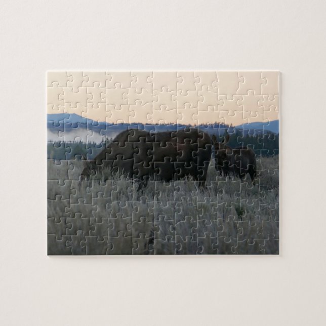 Elche Grazing at Sunrise at Grand Teton (Horizontal)