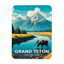 Elche im Grand Teton Nationalpark
