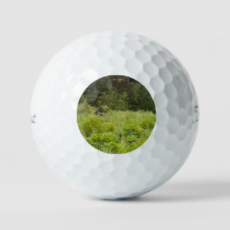 Elche im Grass Golf Ball - AK Wildlife Design