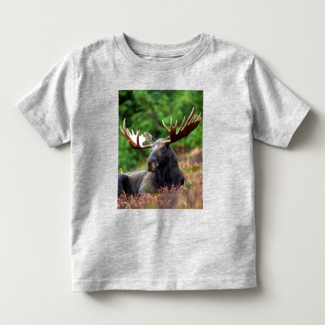 Elche Kleinkind T - Shirt (Vorderseite)