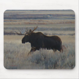 Elche M2 Stier Mousepad