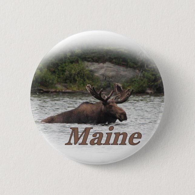 Elche Maines Stier Button (Vorderseite)