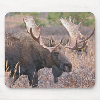 Elche Mousepad