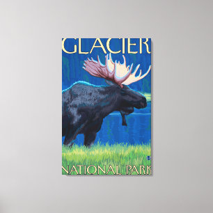 Elche nachts - Glacier Nationalpark, M.Ü. Leinwanddruck