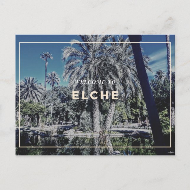 Elche Postcard Postkarte (Vorderseite)