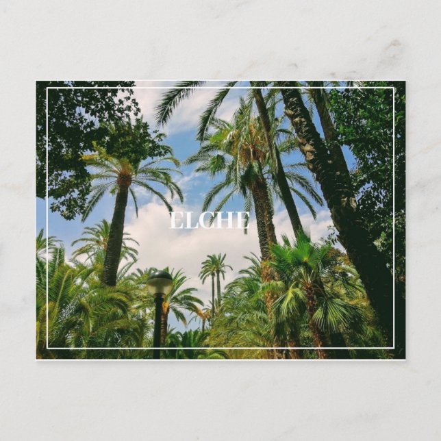 Elche Postcard Postkarte (Vorderseite)