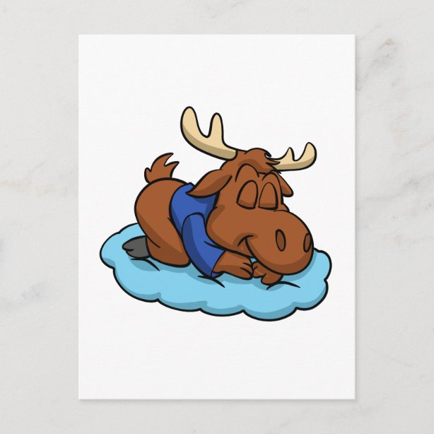 Lustige Elche Postkarten Zazzle.ch
