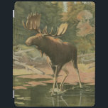Elche Spaziergänge im Wasser iPad Hülle<br><div class="desc">Wohnen Sie weit weg von der Natur? Dieses schöne und dennoch klassische Bild vermittelt einen Eindruck von Ruhe und die Farben des Elchs, der im Wasser spaziert, sind korrekt, was dieses Bild sehr realistisch macht. Holen Sie sich diese naturgetreue Kunst auf Ihre Lieblingsprodukte!</div>