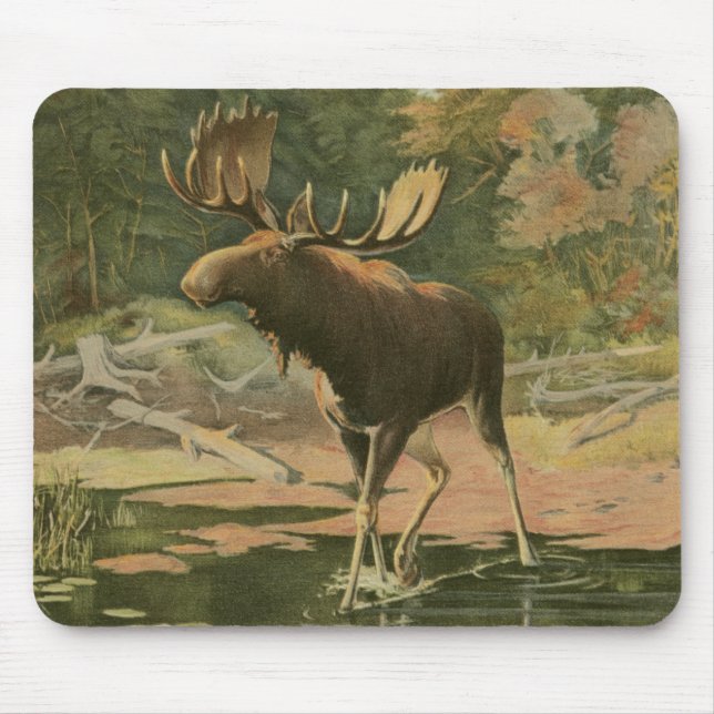 Elche Spaziergänge im Wasser Mousepad (Vorne)
