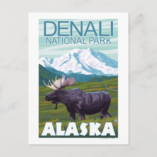 Elche Szene - Nationalpark Denali, Alaska Postkarte (Vorderseite)
