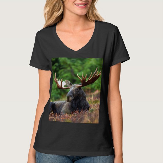 Elche T - Shirt (Vorderseite)