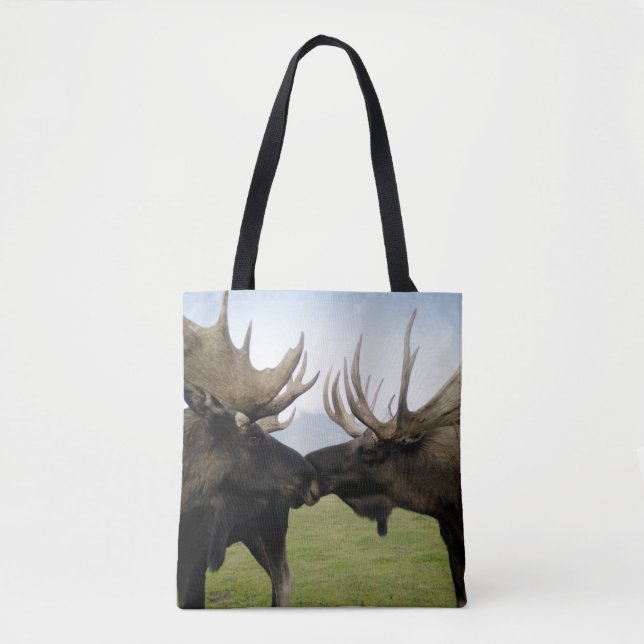 Elche Tasche (Vorderseite)