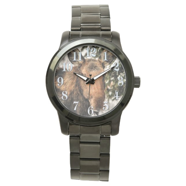 Elche und grüne Zweige Wildbeobachtung Armbanduhr (Vorderseite)