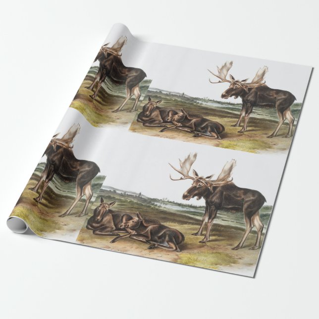Elchhirsch (Servus alces) Illustration Geschenkpapier (Ungerollt)