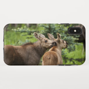Elchkalben Case-Mate iPhone Hülle