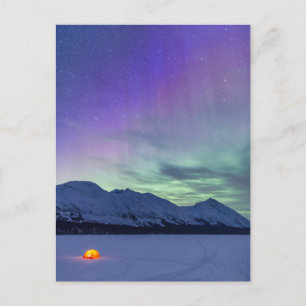 Elchpassage Northern Lights   Kenai-Halbinsel Postkarte