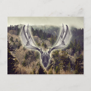 Elchschädel Postkarte