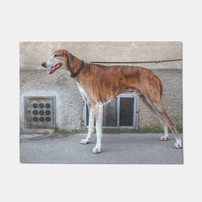 Elder Brindle Greyhound Fußmatte (Vorderseite)
