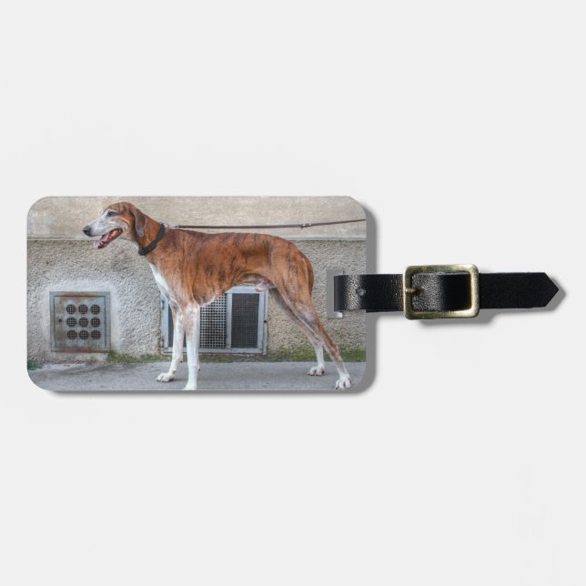 Elder Brindle Greyhound Gepäckanhänger (Vorderseite horizontal)