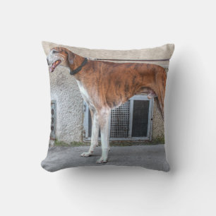 Elder Brindle Greyhound Kissen